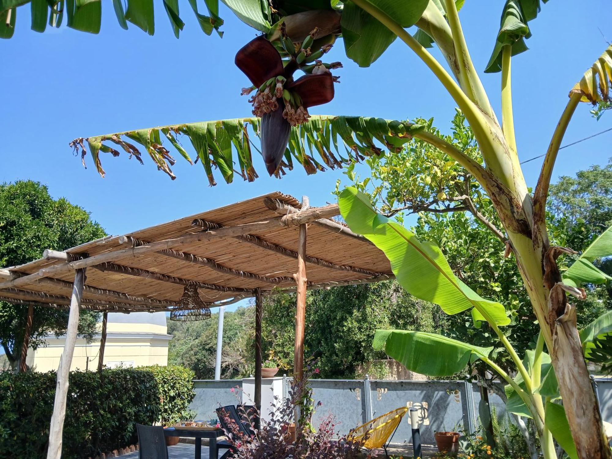 Sonnino B&B Procida Pokoj fotografie